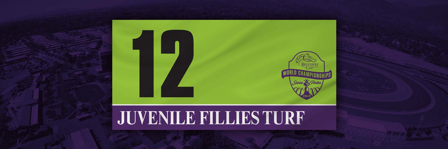 Breeders’ Cup Juvenile Fillies Turf Analysis and Betting Strategies for November 1st, 2019 Breeders’ Cup Juvenile Fillies Turf Analysis and Betting Strategies for November 1st, 2019