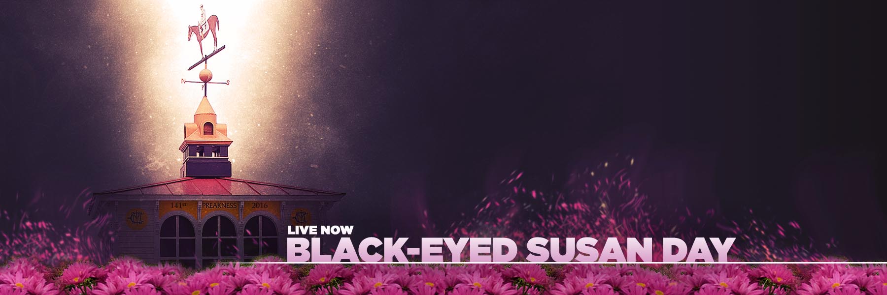 Jeff Siegel’s Blog: Pimlico Analysis and Wagering Strategies for Friday, May 14, 2021 (Black-Eyed Susan Day) Jeff Siegel’s Blog: Pimlico Analysis and Wagering Strategies for Friday, May 14, 2021 (Black-Eyed Susan Day)