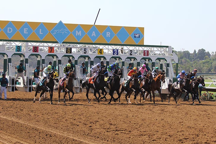 Jeff Siegel’s Blog: Del Mar Analysis, Wagering Strategies, and Key Workout Commentary for Saturday, November 20, 2021