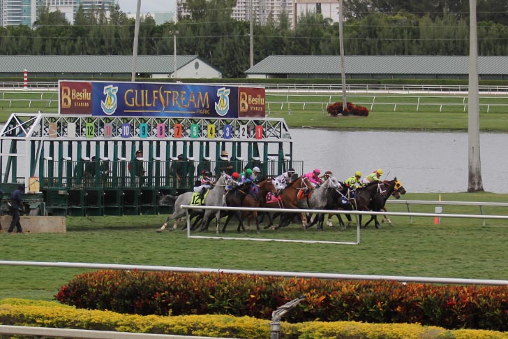 Jeff Siegel’s Blog: “What You Need to Know: – Gulfstream Park – December 11, 2021