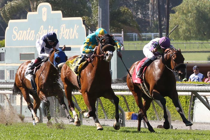 Leverage Plays: Late Pick 4 Analysis at Santa Anita Park on January 13th, 2018