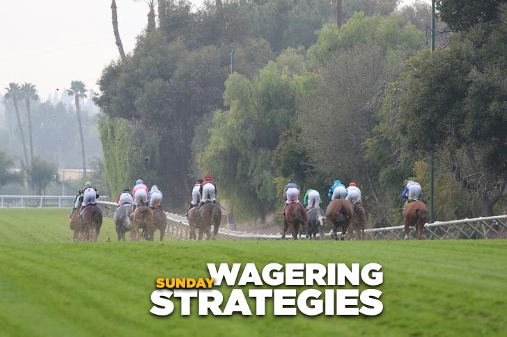 Jeff Siegel’s Blog: Santa Anita Workout Report, Analysis, and Wagering Strategies for Sunday, Dec. 29, 2019