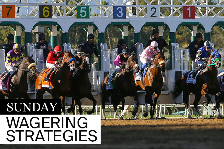 Jeff Siegel’s Blog: “What You Need to Know” for Saratoga/Del Mar – Sunday, August 4, 2024