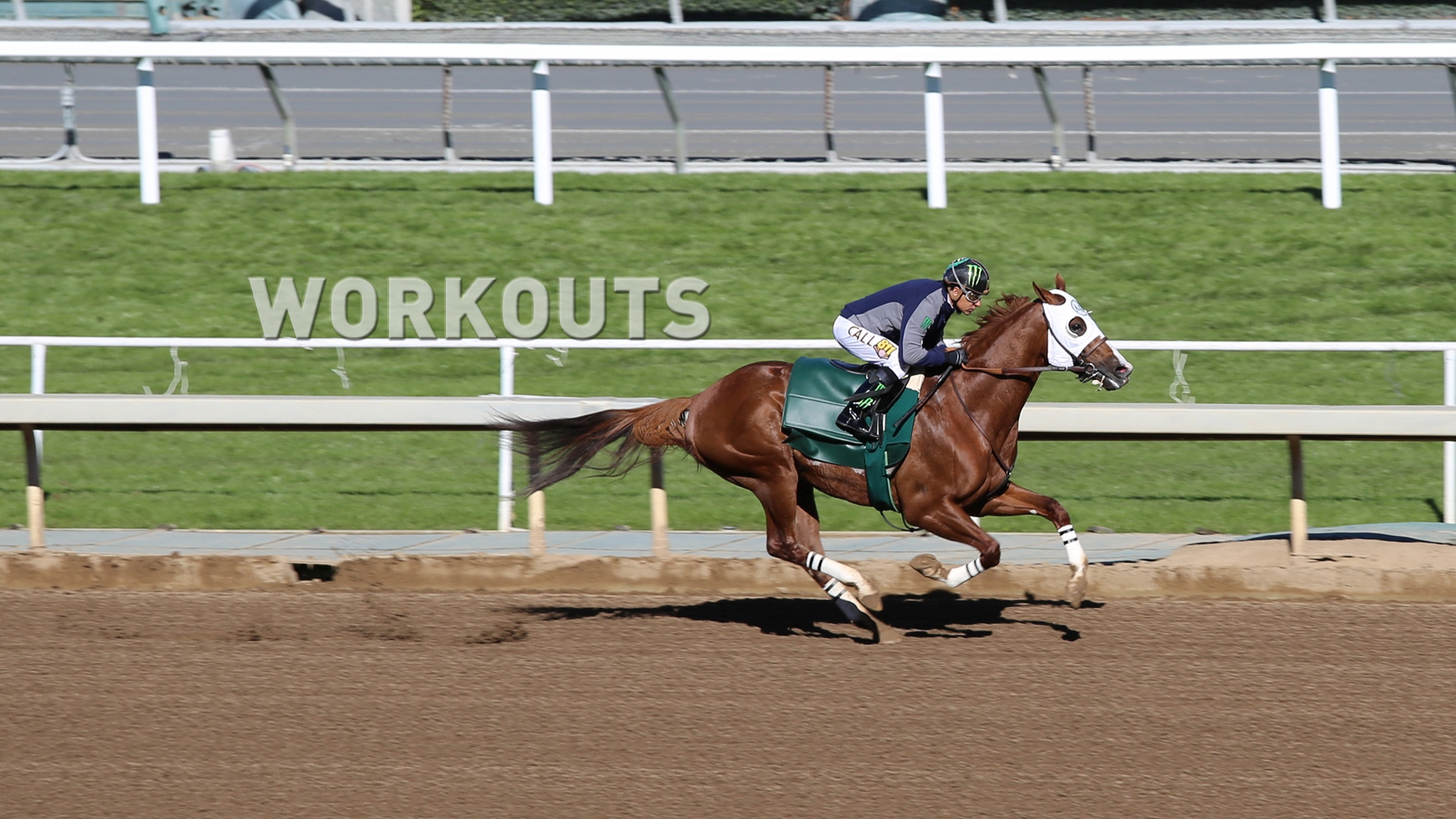 Jeff Siegel’s Blog: Santa Anita Race-by-Race Workout Report for Sunday, November 3, 2019 Jeff Siegel’s Blog: Santa Anita Race-by-Race Workout Report for Sunday, November 3, 2019