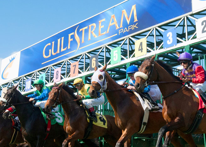 Jeff Siegel’s Blog: Gulfstream Park Analysis & Wagering Strategies for Saturday, December 14, 2019