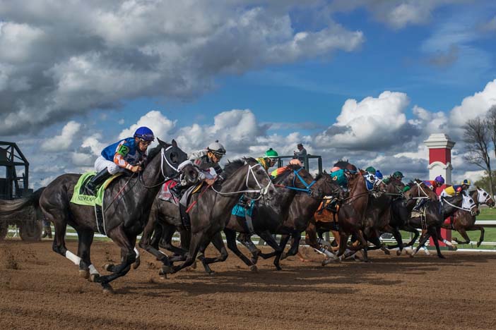 Jeff Siegel’s Blog: Tampa Bay Downs Analysis & Wagering Strategies for Wednesday, April 8, 2020