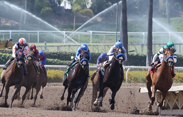 Leverage Plays: Late Pick 4 Analysis at Santa Anita Park on January 6th, 2018