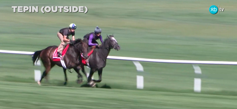 XBTV’s Leverage Plays: Pick 5 for September 16th, 2016 at Woodbine Racetrack XBTV’s Leverage Plays: Pick 5 for September 16th, 2016 at Woodbine Racetrack