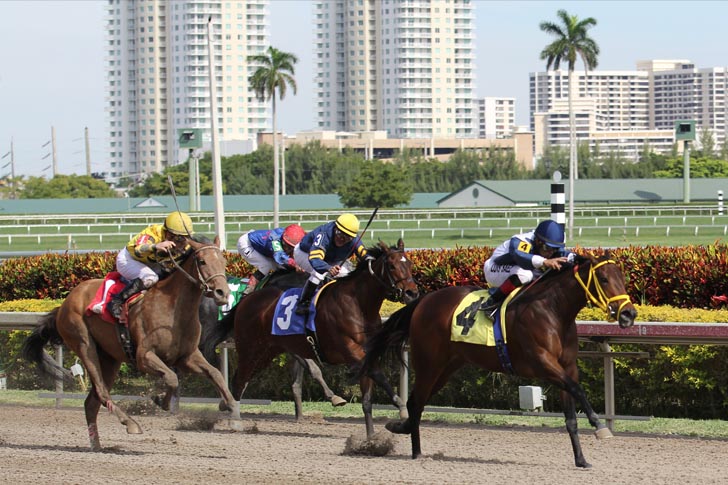 Musings From My Grade 1 Couch: Gulfstream Park Analysis for May 3rd, 2020