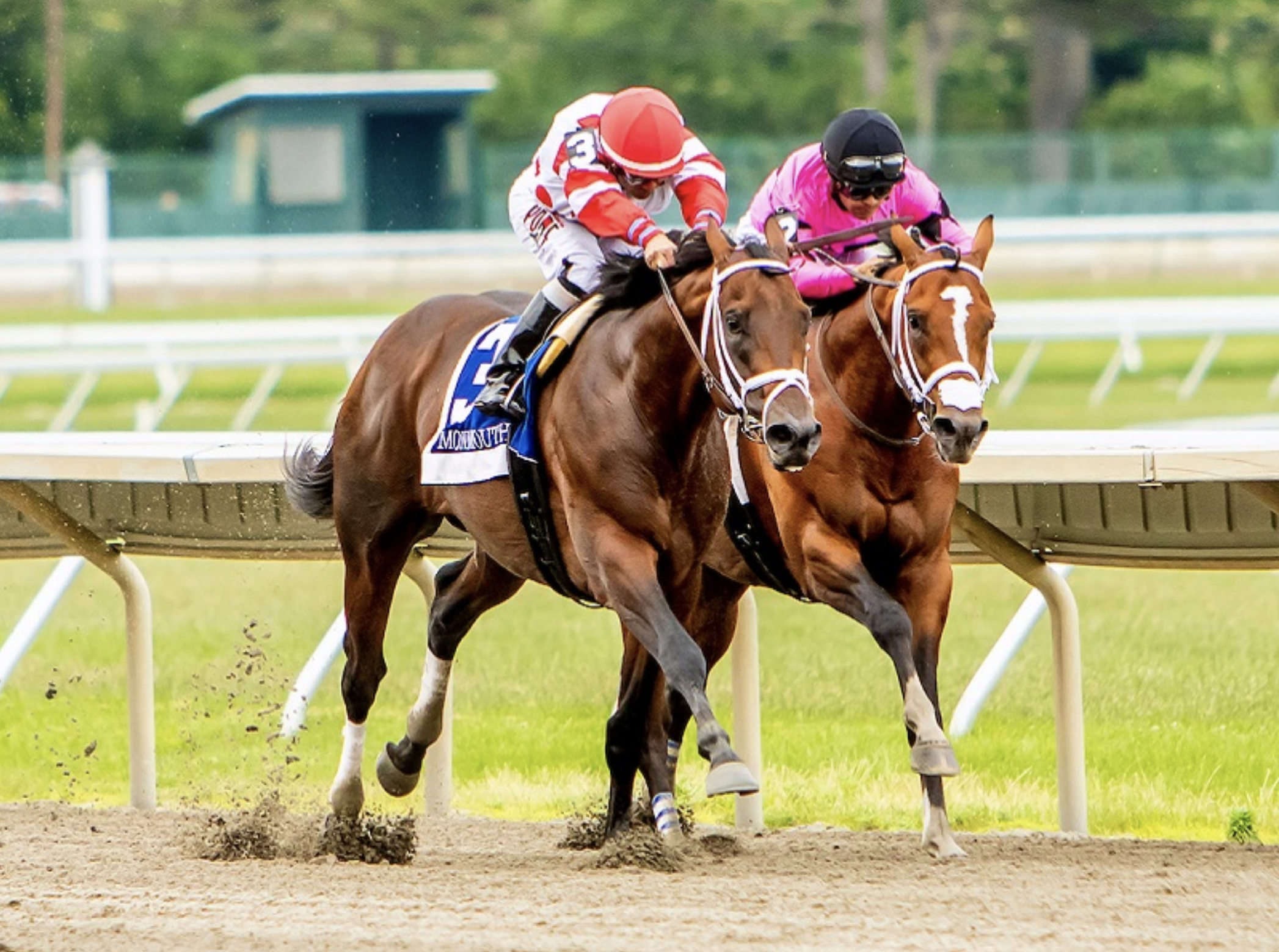 Jeff Siegel’s Blog: “What You Need to Know” for Saratoga – Friday, July 28, 2023