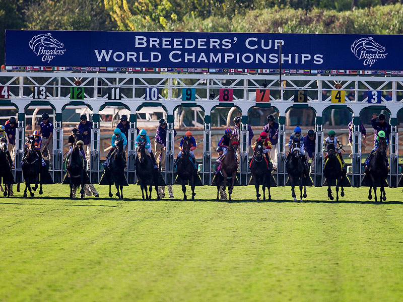 It’s Post Time by Jon White: Early Breeders’ Cup Classic Odds It’s Post Time by Jon White: Early Breeders’ Cup Classic Odds