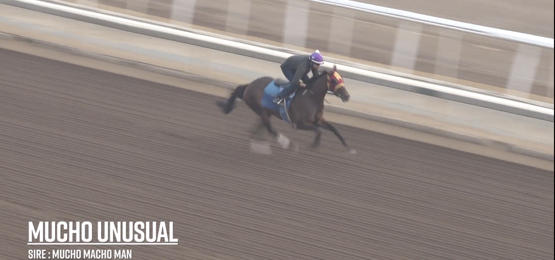 Trainer Tim Yakteen Discusses Training His Star Filly Mucho Unusual During This Uncertain Time